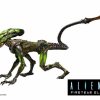 All Brands NECA | Neca Fireteam Elite Burster Alien Action Figure