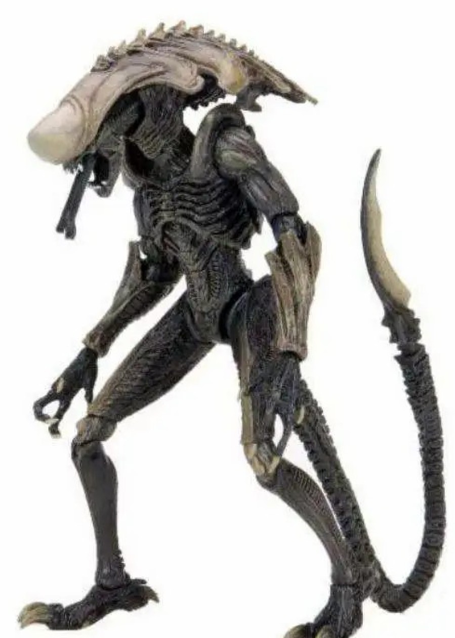 All Brands NECA | Neca Alien Vs Predator Video Game Chrysalis Alien Action Figure [Movie Treatment]