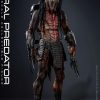 All Brands Hot Toys | Prey Movie Masterpiece Feral Predator 1/6 Collectible Figure (Pre-Order Ships May 2025)