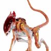 All Brands NECA | Neca Kenner Aliens Tribute Panther Alien Action Figure