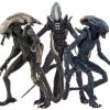 All Brands NECA | Neca Alien Vs Predator Video Game Razor Claws, Chrysalis & Arachnoid Aliens Set Of 3 Action Figures [Movie Treatment]