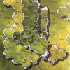 All Brands Catalyst Game Labs | Battletech Rolling Hills #2 / Barren Lands #2 Paper Full-Color Double-Sided Map [18" X 22"]