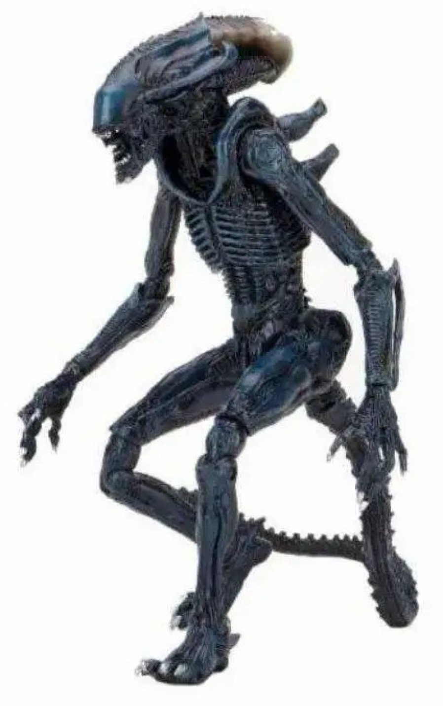 All Brands NECA | Neca Alien Vs Predator Video Game Arachnid Alien Action Figure [Movie Treatment]