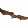 All Brands Hiya Toys | Godzilla King Of The Monsters Exquisite Basic Series Rodan Exclusive Action Figure [Flameborn Version] (Pre-Order Ships January 2025)