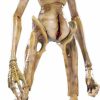 All Brands Hiya Toys | Aliens Resurrection The Newborn Action Figure